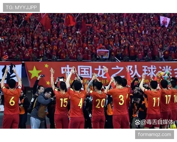 捷克队2026世界杯F组晋级概率分析 捷克队2026世界杯F组晋级概率分析